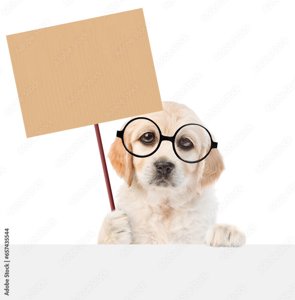 Poster funny smart golden retriever puppy wearing eyeglasses shows empty placard above empty white banner. 
