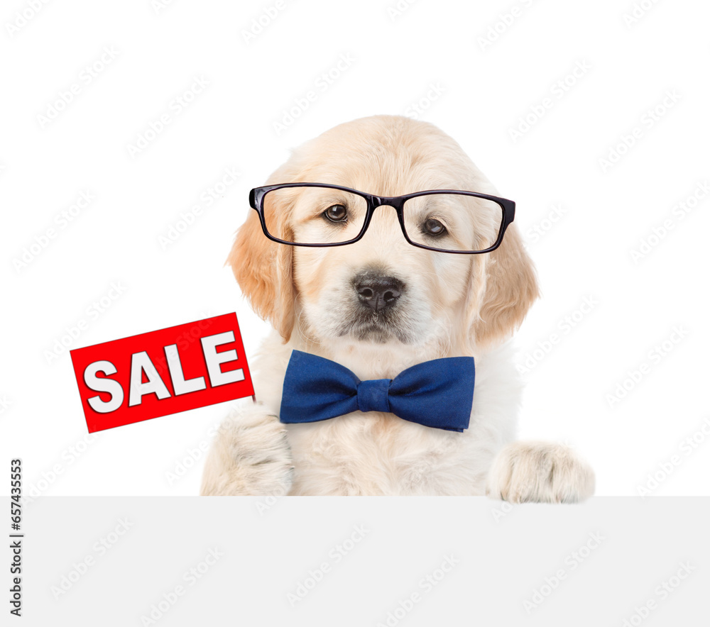 Poster smart golden retriver puppy wearing eyeglasses and tie bow shows signboard with labeled 