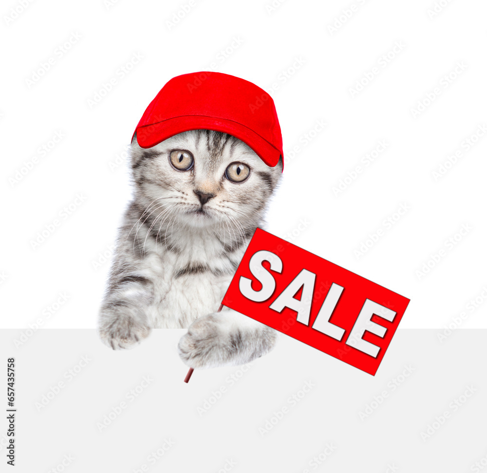 Poster Cat wearing red cap holds signboard with labeled 