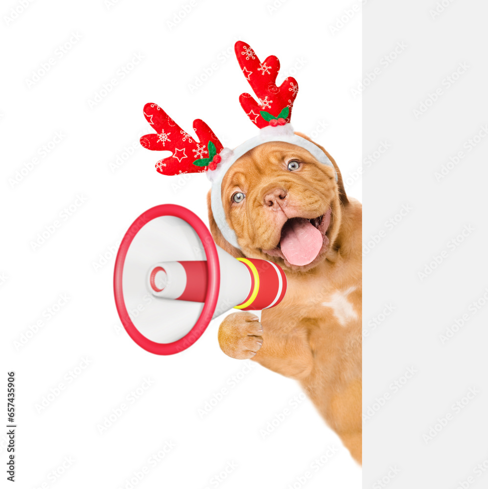 Poster happy mastiff puppy dressed like santa claus reindeer rudolf looks from behind empty white banner an