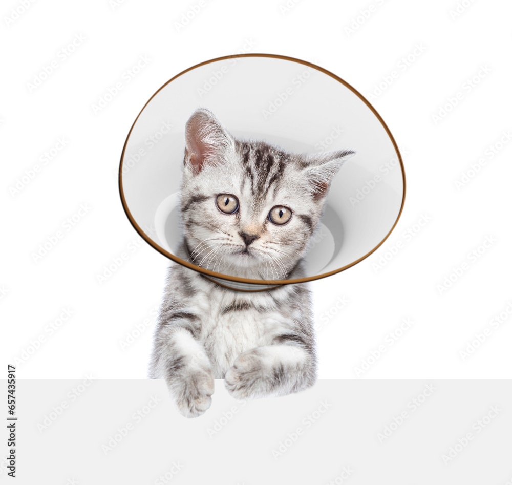 Poster cute tabby kitten wearing protective cone collar looking above empty white banner. isolated on white
