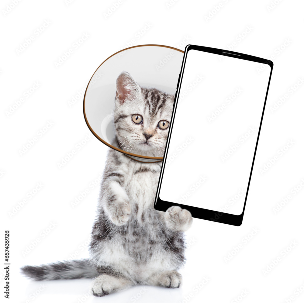 Poster cute tabby kitten with protective cone collar on her neck shows big smartphone with empty screen. is