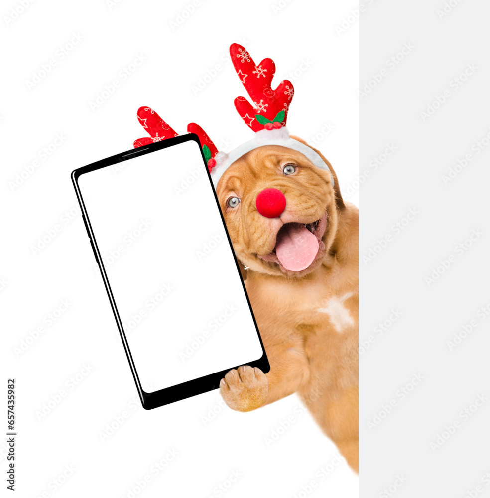 Poster Happy Mastiff puppy dressed like santa claus reindeer  Rudolf holds big smartphone with empty screen in it paw, showing close to camera behind empty white banner. isolated on white background