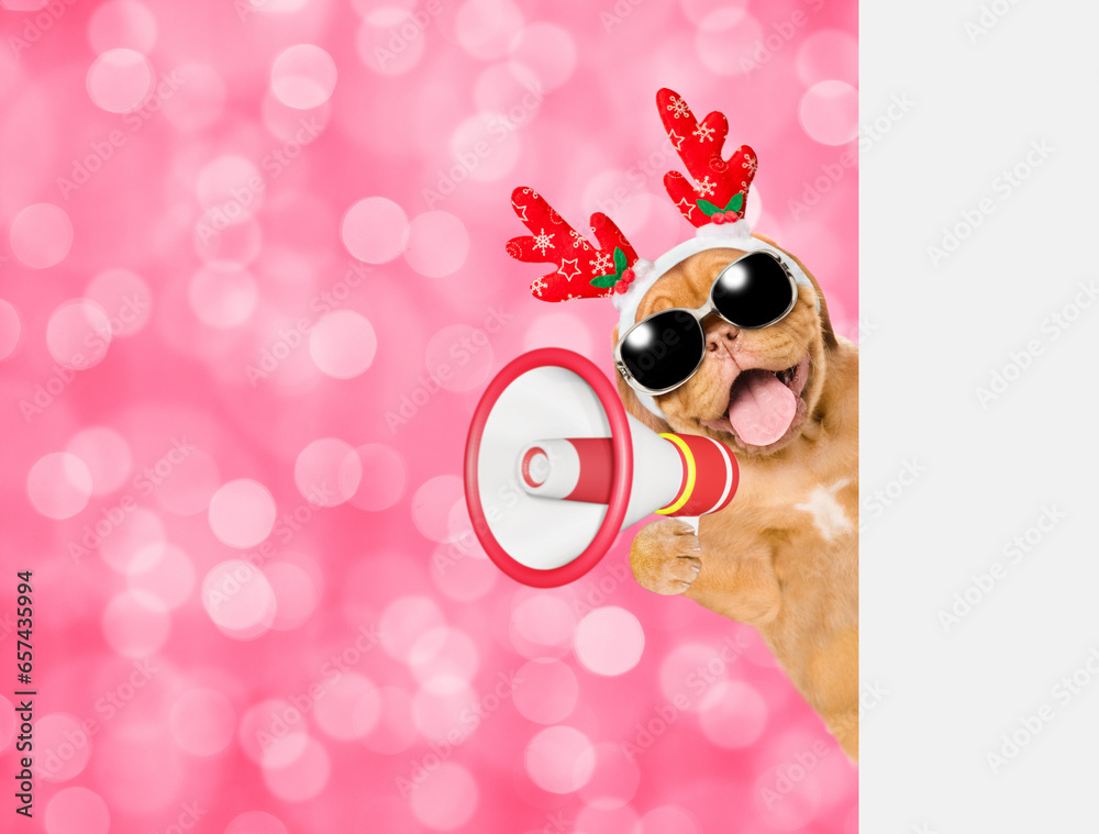 Poster happy mastiff puppy dressed like santa claus reindeer rudolf looking from behind empty white banner 