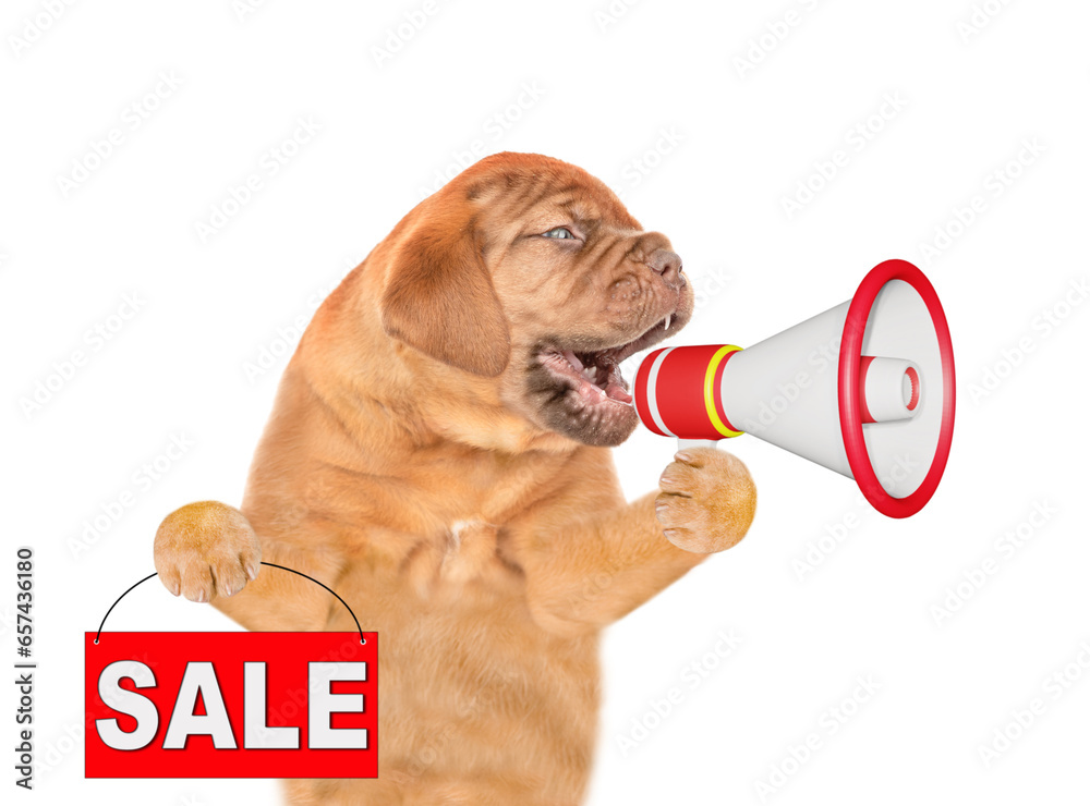 Poster mastiff puppy screaming into a megaphone and and shows signboard with labeled 