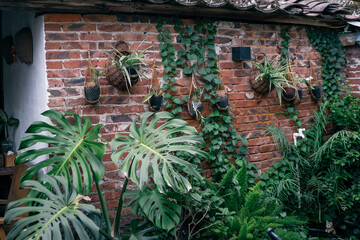 patio with green plants and brick wall