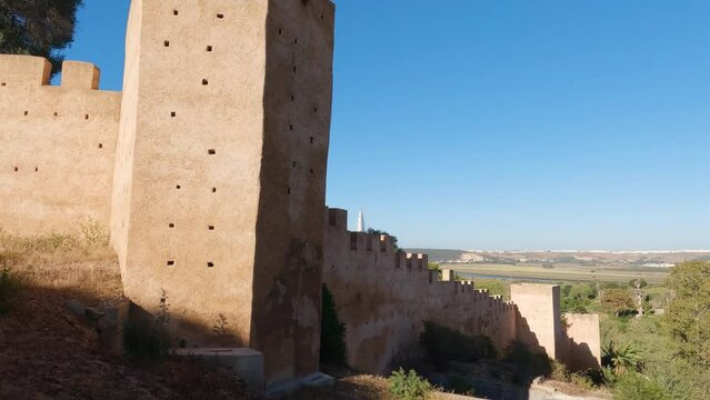 Chellah's ancient fortification: history and nature converge in Rabat's desert. Morocco