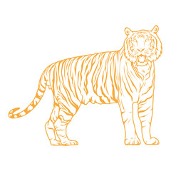 hand drawn tiger vector monoline