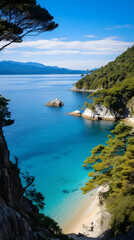 Vertical shot of the blue sea from the abel tasman track, new zealand 