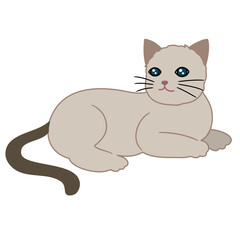 cat cartoon clipart