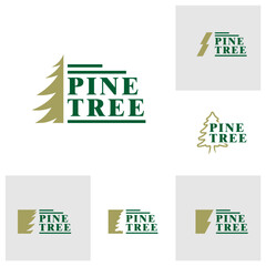 Set of Pine Tree logo design vector. Creative Pine logo concepts template