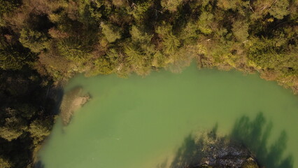 river in the forest