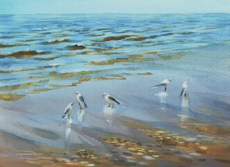 Birds by the sea in the morning light watercolor background - 657450197