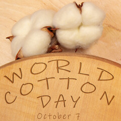 World cotton day observed on october 7. Poster with Fluffy cotton flowers on wooden background.