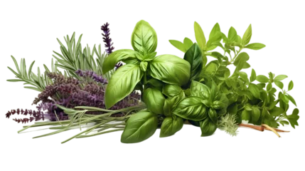 Foto op Plexiglas Fresh Organic Mediterranean Herbs and Spices. Isolated on white background © Arqumaulakh50