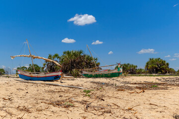 Pirogues à balancier sur une plage à Madagascar 