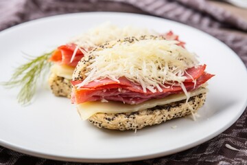 Fototapeta na wymiar sandwich with sauerkraut, salami and provolone on a white plate