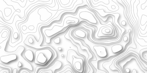 Background lines Topographic map. Geographic mountain relief. Abstract lines background. Contour maps. Vector illustration, Topo contour map on white background, Topographic contour lines.