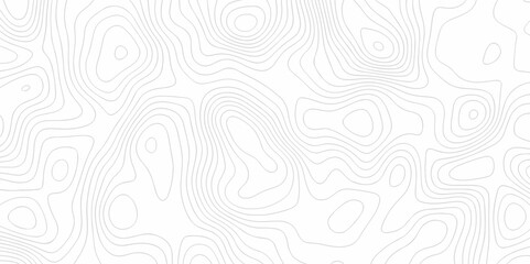 Background lines Topographic map. Geographic mountain relief. Abstract lines background. Contour maps. Vector illustration, Topo contour map on white background, Topographic contour lines.