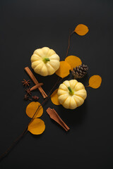Mini pumpkins and dried autumn leaves, dried cinnamon sticks and star anise are on display on a...