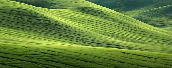 Tuinposter Green Organic Lines as Abstract Wallpaper Background, Similar to a meadow landscape with mountains © miriam artgraphy