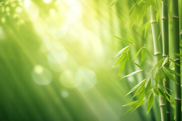 Fototapeta na wymiar Green bamboo trees against blue sunrays