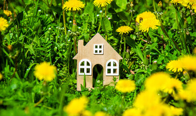 The symbol of the house stands among the yellow dandelions