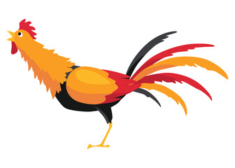 Farm cock icon. Adorable cock animal at dawn. Colorful rooster, poultry farming, vector Illustration on white background