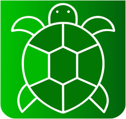 Obraz premium Turtle cartoon vector 
