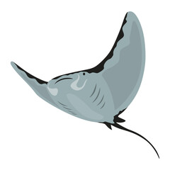Stingray fish. Sea animal floating underwater. Cute cartoon stingray. Adorable sea creature isolated on white background. Wildlife, nature concept. Vector illustration of manta ray - obrazy, fototapety, plakaty
