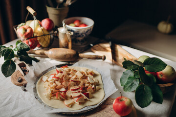 Autumn holiday apple pie in rustic style, homemade baked goods in dark colors