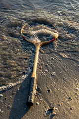 badminton racket on the sand in water at sunset