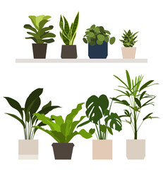 plants in pots, houseplant, ornamental plant, vector