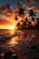 Fototapeta na wymiar exotic coastal landscape with palm trees in beautiful sunset light