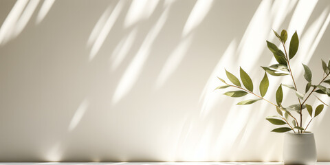 Minimalist Beauty: Leaf Shadows on White Wall, Ideal for Product Display