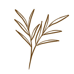 Aesthetic Leave Lineart 