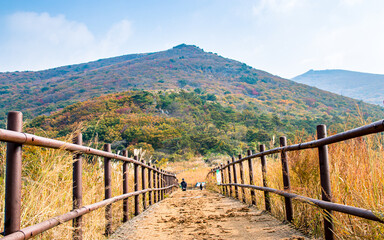 Fototapeta na wymiar Landscape view of Mount Mudeungsan with colorful leaf during Autumn season in Gwangju, South Korea. 