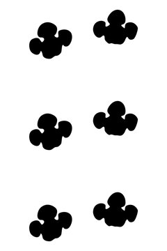 Animals feet track. Rhino black paw, walking feet silhouette or footprints. Trace step imprints isolated on white. Walking tracks paws illustration