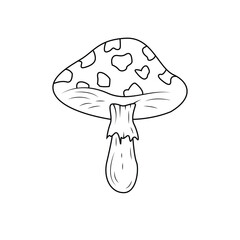 mushroom