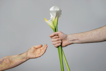 Male hand with flower and female hand with bruise. Campaign stop violence against women