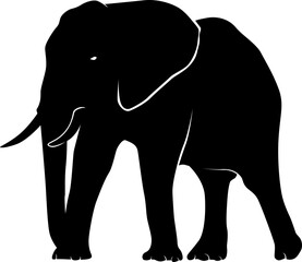Obraz premium elephant africa silhouette
