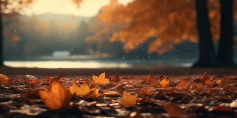 Schilderijen op glas autumn fall leaves background cinematic © Young