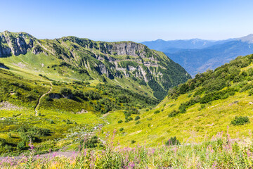 Naklejka premium Summer mountain landscape at Krasnaya Polyana mountain resort, Sochi, Russia