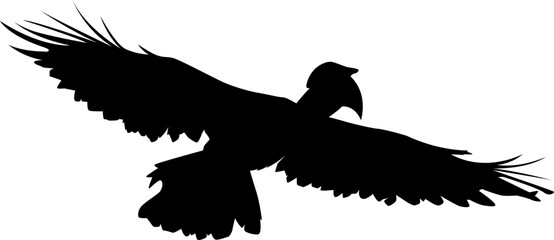 hornbill silhouette  © THAITOR