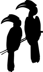 hornbill silhouette  © THAITOR