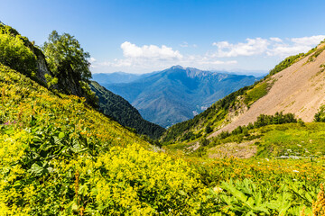 Summer mountain landscape at Krasnaya Polyana mountain resort, Sochi, Russia
