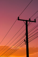 power lines at sunset