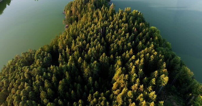 Dense pine tree forest on peninsula jutting into Stausee Ottenstein reservoir in Austria, aerial push in tilt down