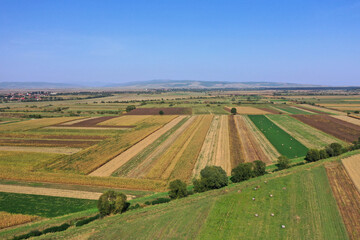 Aerial view of agricultural fields by drone