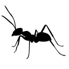 ant silhouette